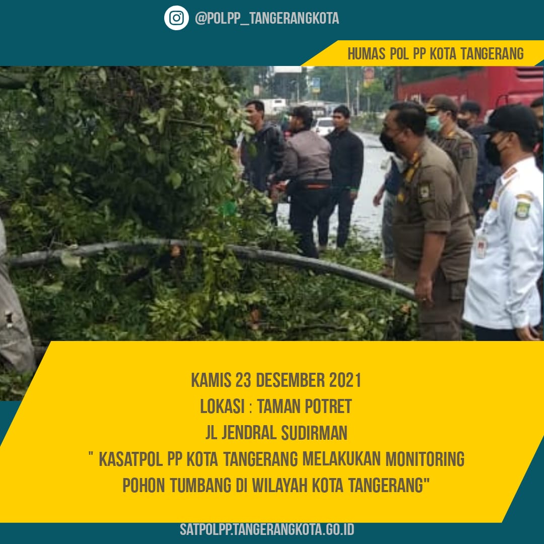 Monitoring Pohon Tumbang Di Wilayah Kota Tangerang